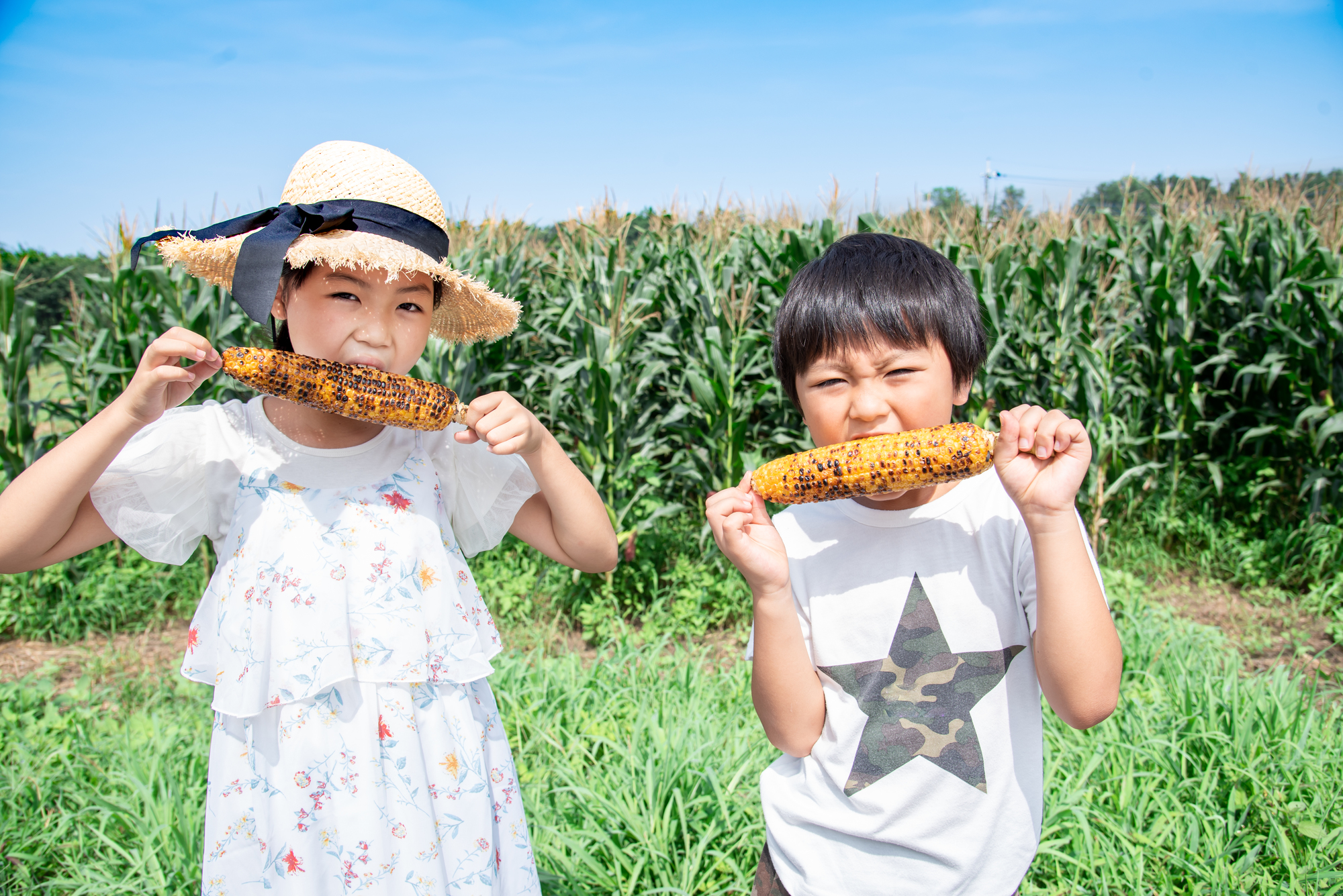 2026年夏休み、猛暑でも家族のお出かけは8割超！ 「プール」は天候不良であきらめたという声も【夏休みお出かけ結果調査レポート①】／いこーよ総研ユーザーアンケート